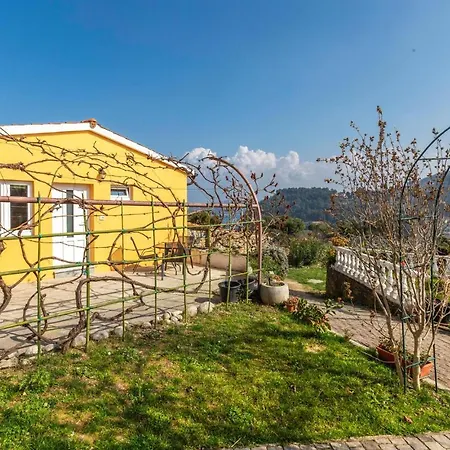 Apartment In With Kitchen Piran